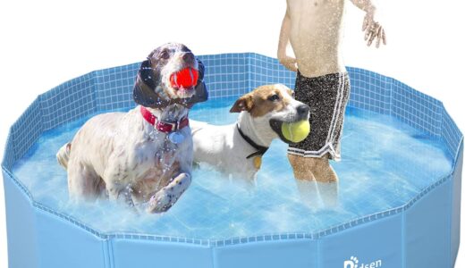 【2022年9月】おすすめの犬用プール10選