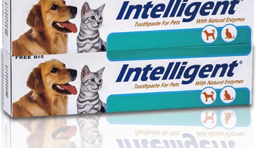 【徹底比較】おすすめの犬用歯磨き粉10選