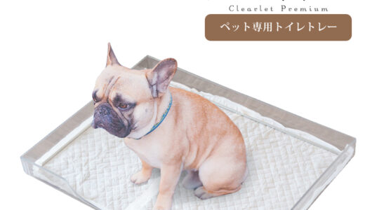 【2022年9月】おすすめの犬用トイレトレー10選