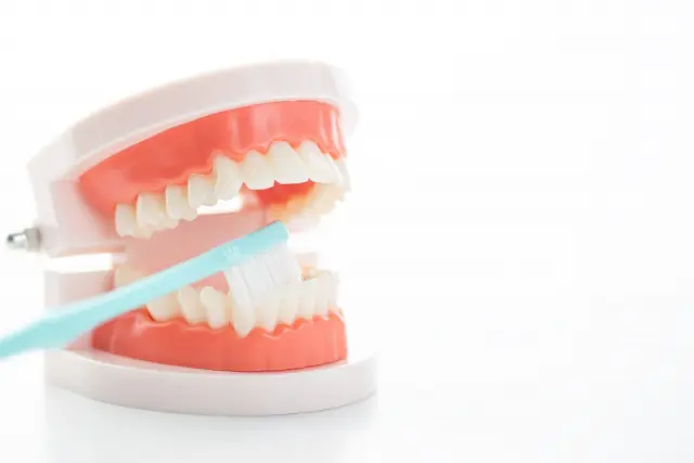 徹底比較】フィリップスのおすすめ電動歯ブラシ10選 | さぶろぐ｜暮らしに役立つおすすめ商品の口コミ・評判をご紹介