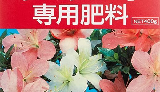 【2023年1月】桜におすすめの肥料10選