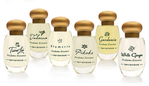【2023年1月】プルメリアの香りのおすすめ香水10選